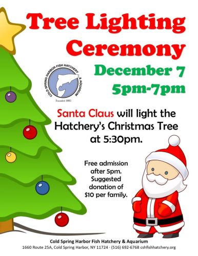 Cold Spring Harbor Fish Hatchery Tree Lighting