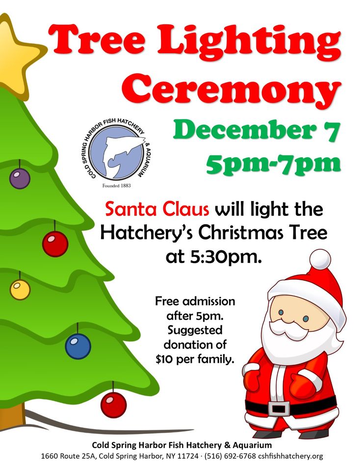 Cold Spring Harbor Fish Hatchery Tree Lighting