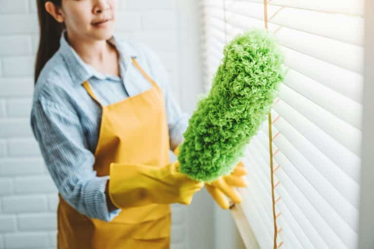woman cleaning house wiping dust