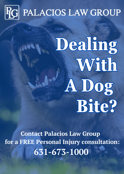 Palacios Law Group Personal Injury Attorney Dealing With A Dog Bite?