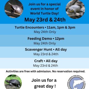 World Turtle Weekend at the Cold Spring Harbor Fish Hatchery and Aquarium