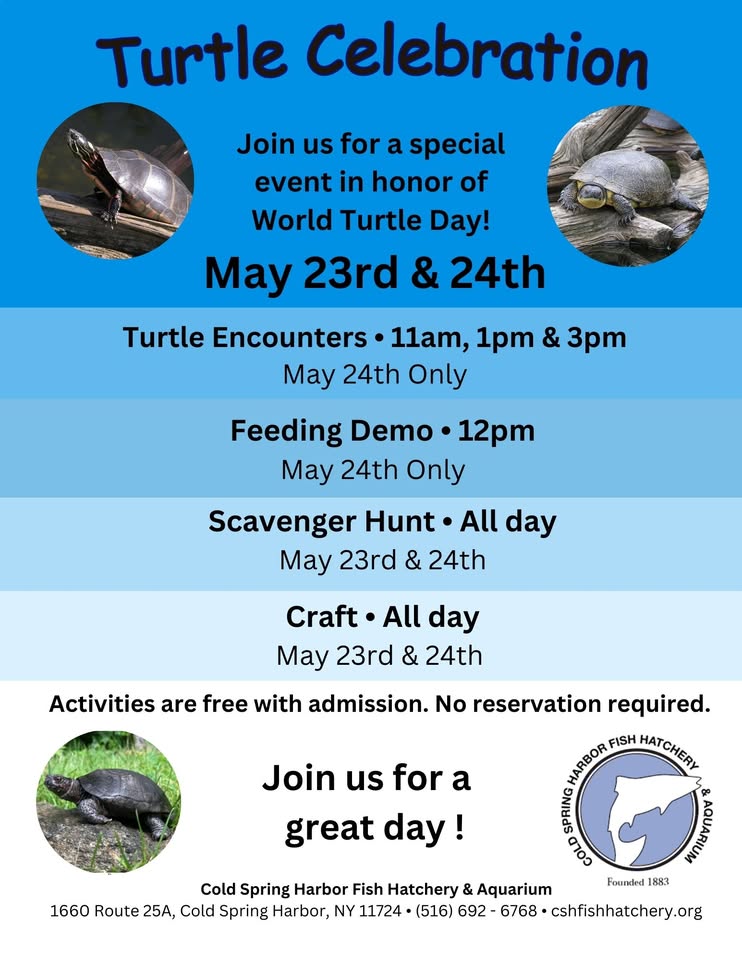 World Turtle Weekend at the Cold Spring Harbor Fish Hatchery and Aquarium