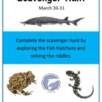 Cold Spring Harbor Fish Hatchery Scavenger Hunt