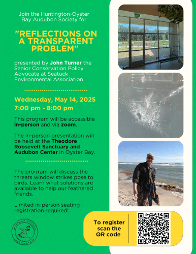 "Reflections on a Transparent Problem" with John Turner - FREE