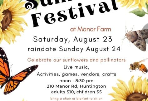 Summer Festival at Manor Farm