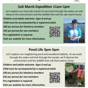 Adventures Await - Salt Marsh Expedition