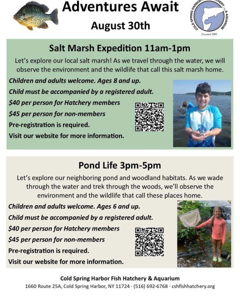 Adventures Await - Salt Marsh Expedition