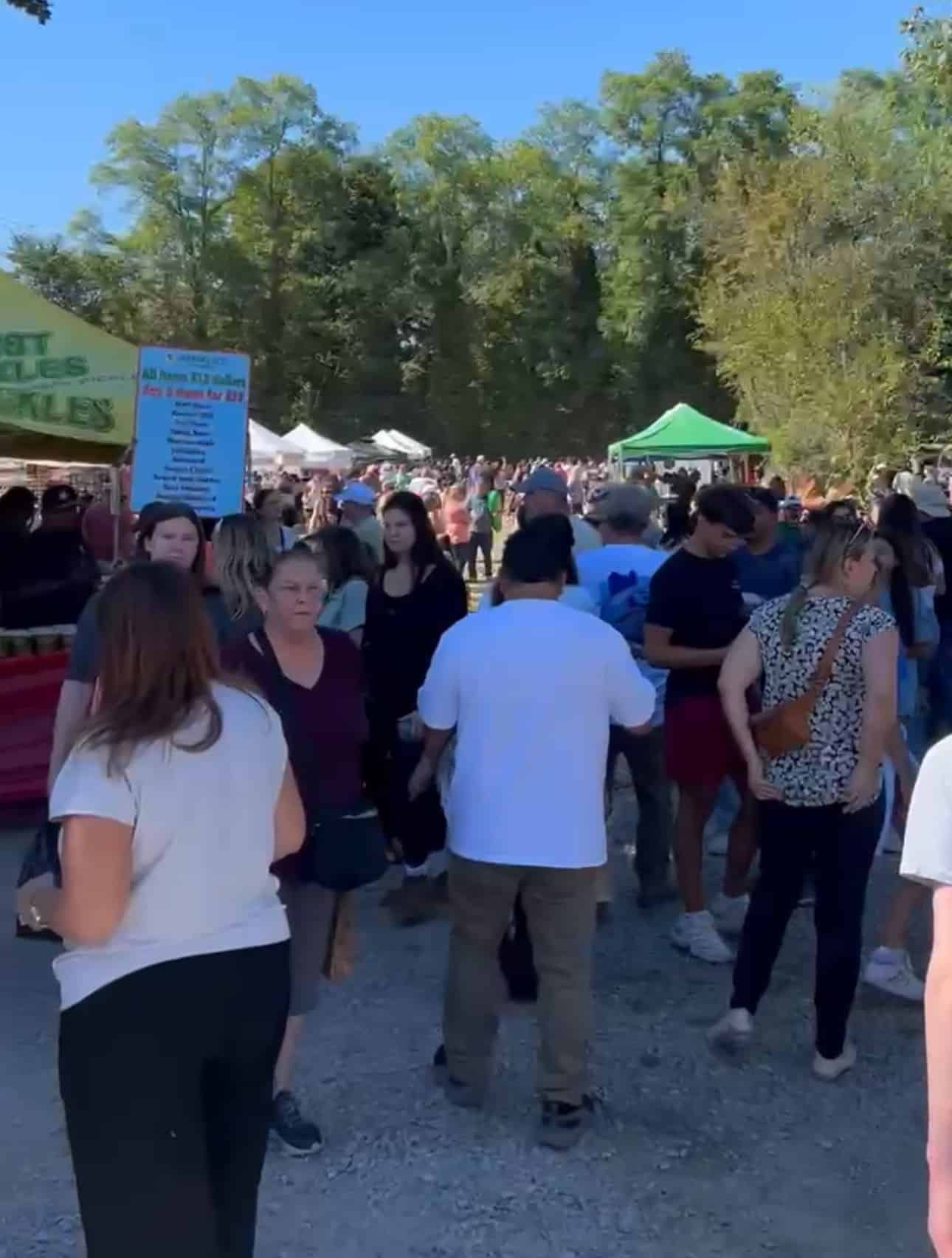 45th Annual Pickle Festival - 4,000 people attended the 2025 Festival with dozens of interesting vendors.