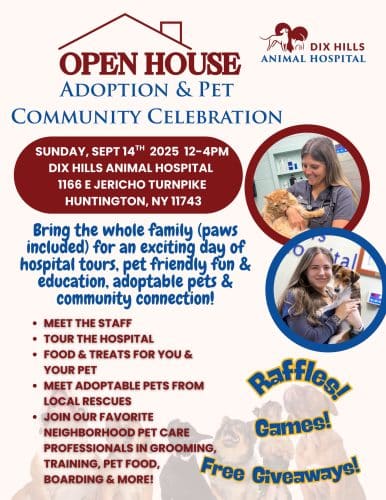 Open House Adoption and Pet Community Celebration - FREE 1