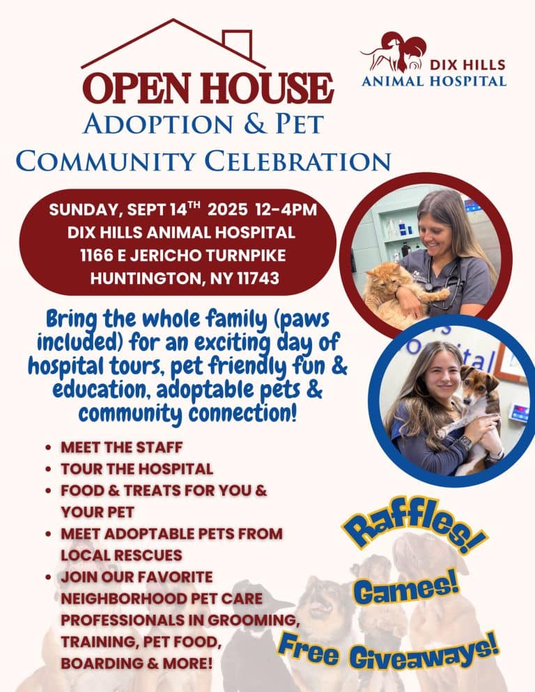 Open House Adoption and Pet Community Celebration - FREE 1