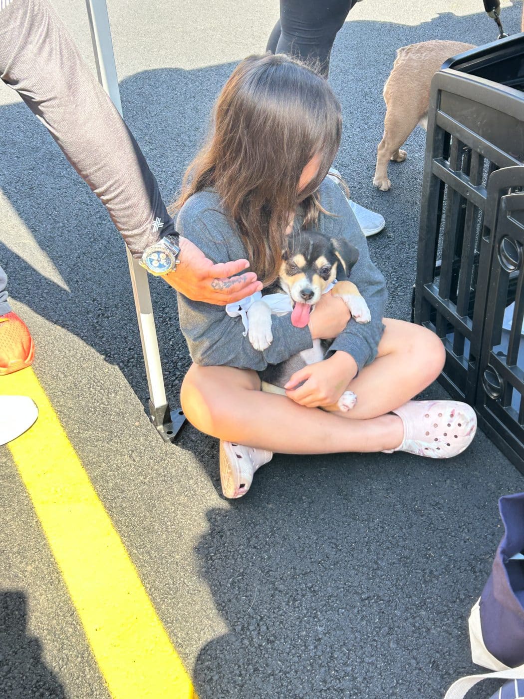 Dix Hills Animal Hospital Open House - A little girl who found her forever puppy to adopt.