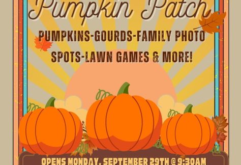 Shine and Vine Pumpkin Patch