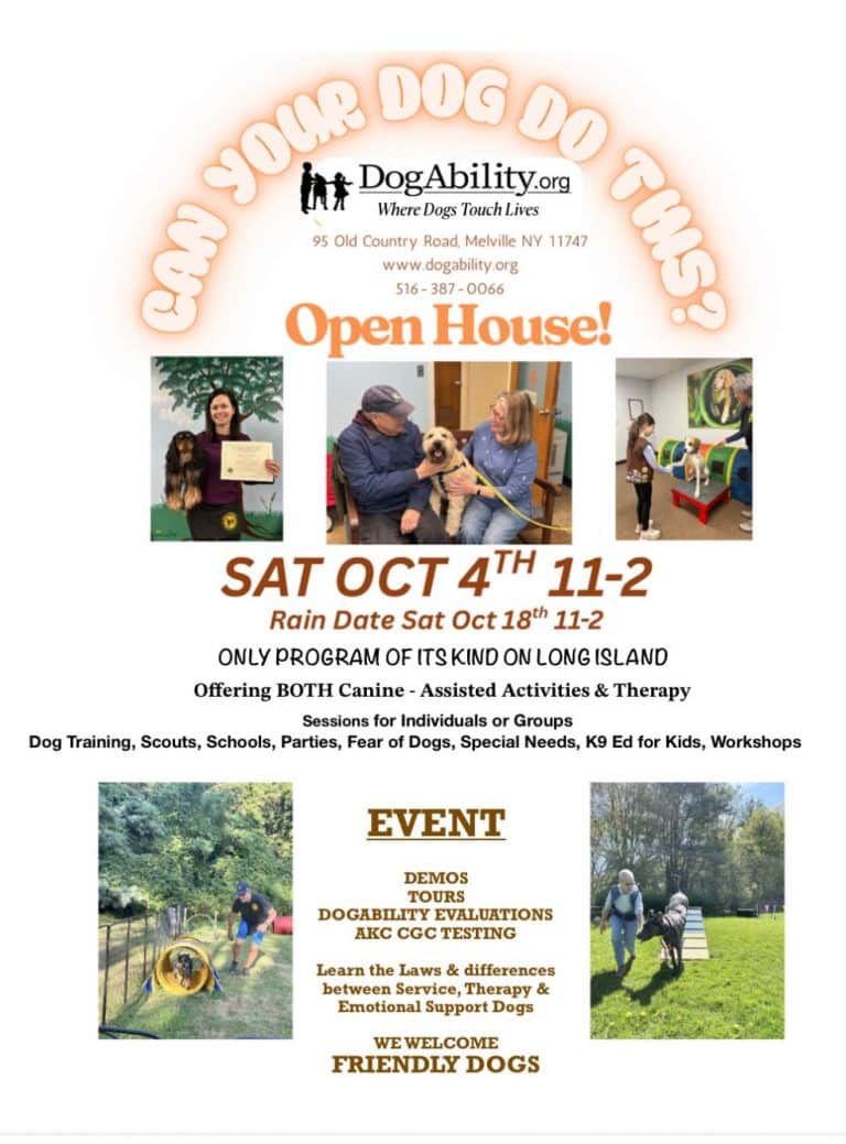 DogAbility Open House - FREE