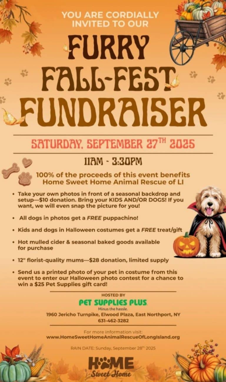 Furry Fun-Fest Fundraiser