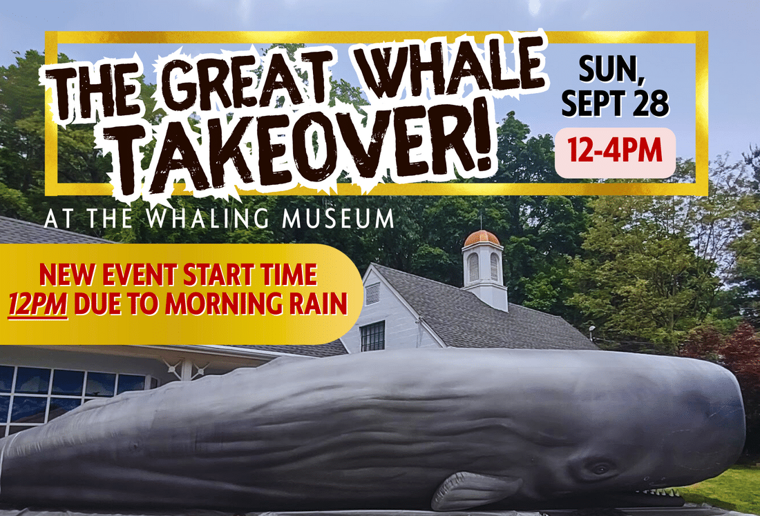 UPDATED The Great Whale Takeover
