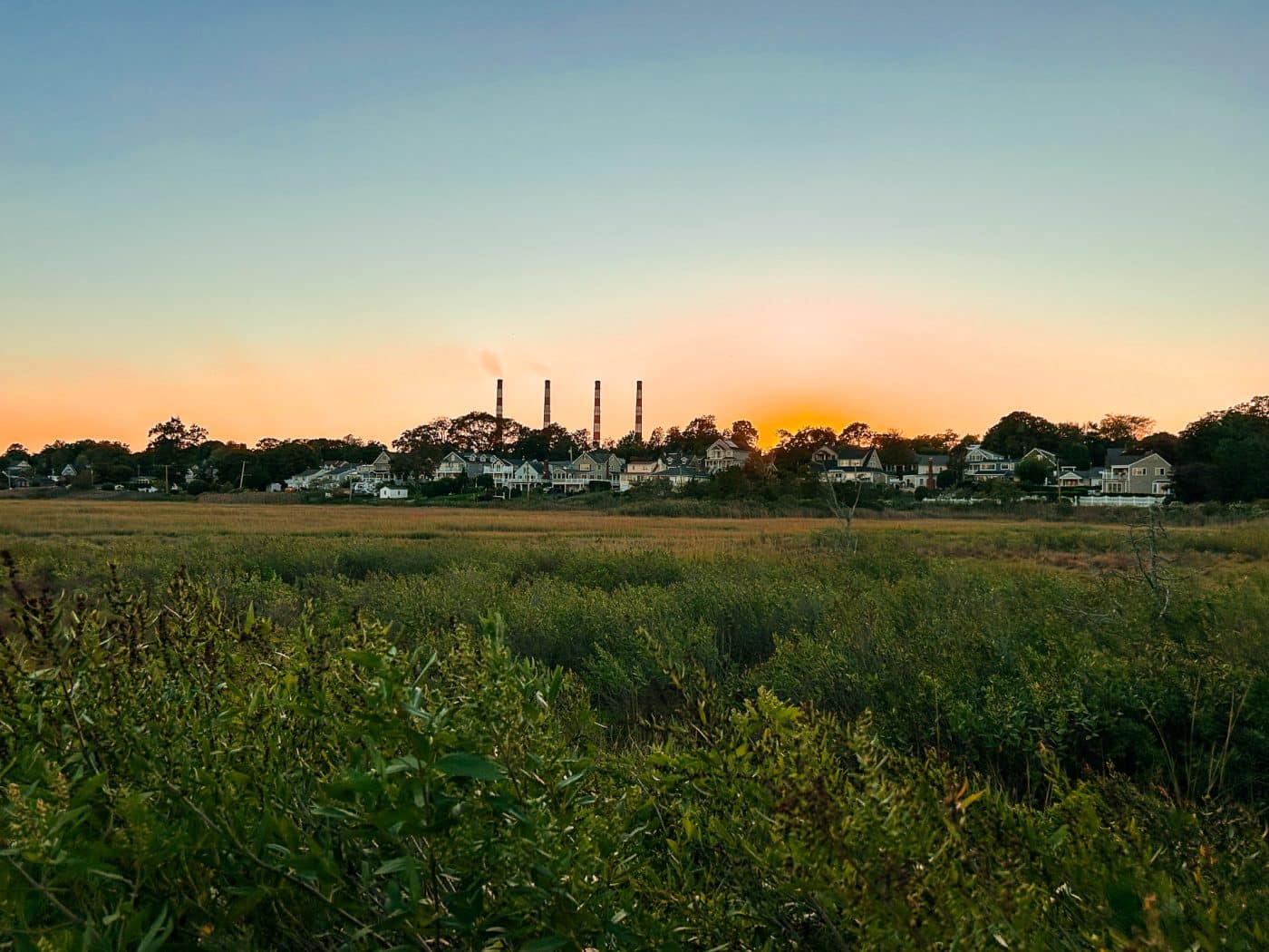 Crab Meadow Salt Marsh. Crab Meadow Marsh Restoration Meeting.