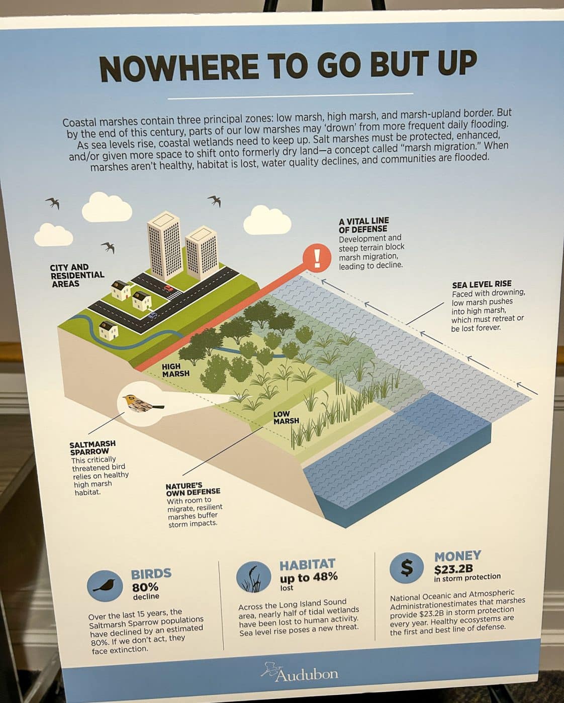 Graphic with illustration of salt marsh components. Crab Meadow Marsh Restoration Meeting.