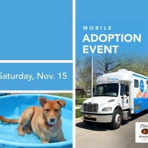 North Shore Animal League Mobile Adoption Event - Free