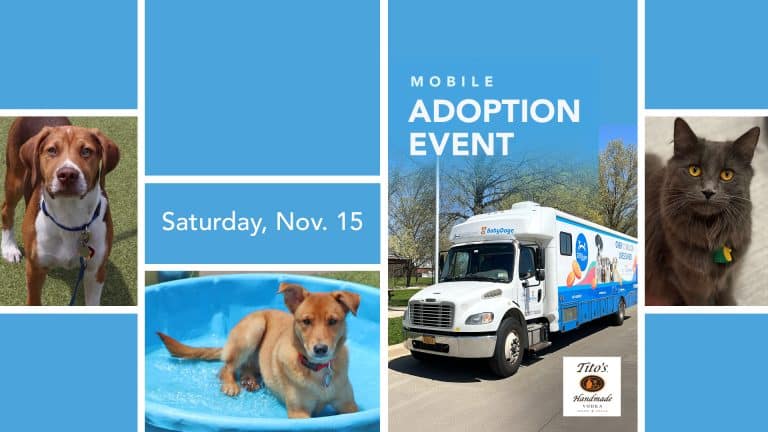 North Shore Animal League Mobile Adoption Event - Free