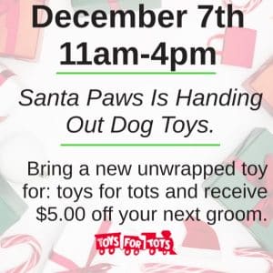 Dreamcoat's Winter Wish Party Benefiting Tots for Tots