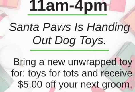 Dreamcoat's Winter Wish Party Benefiting Tots for Tots