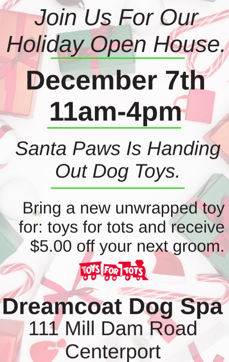 Dreamcoat's Winter Wish Party Benefiting Tots for Tots