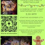 Misfit Island Christmas Lights Spectacular - FREE