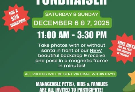 Photos With or Without Santa Fundraiser
