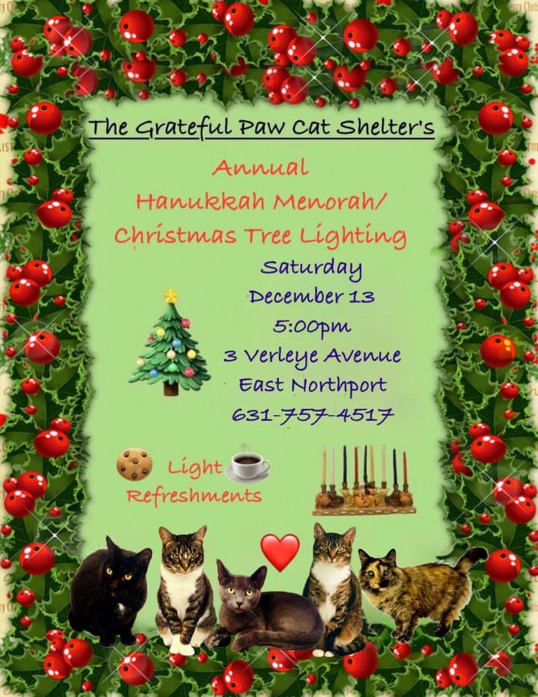 Grateful Paw Cat Shelter's Annual Hanukkah Menorah/Christmas Tree Lighting - Free