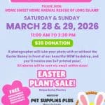 Easter Bunny Photo Fundraiser