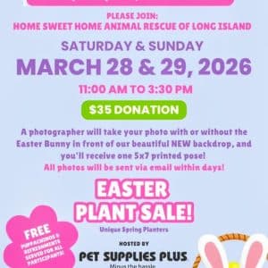 Easter Bunny Photo Fundraiser