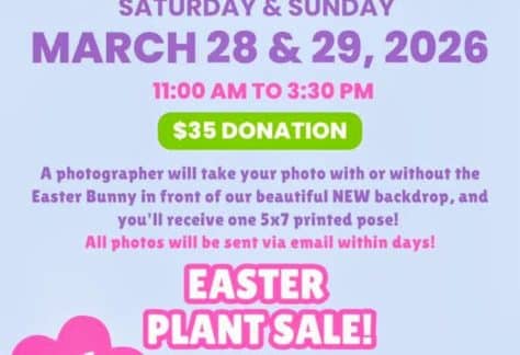 Easter Bunny Photo Fundraiser