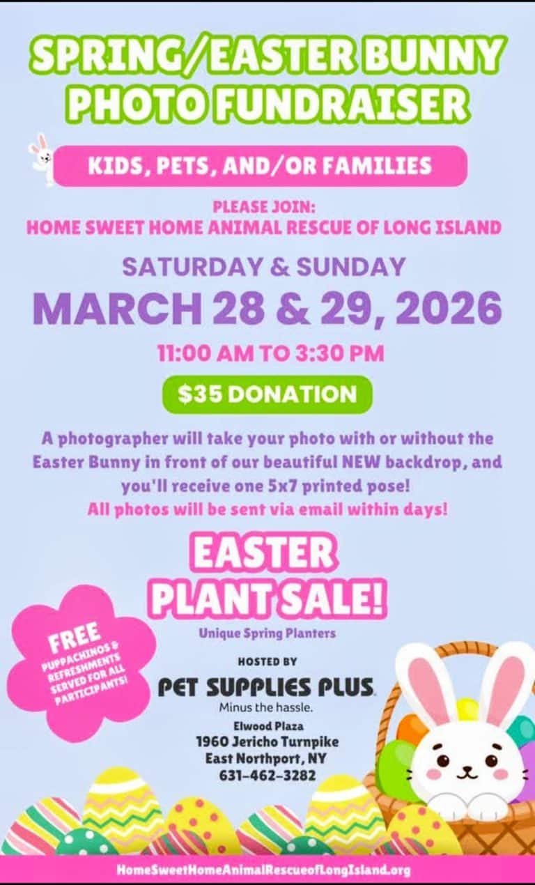 Easter Bunny Photo Fundraiser