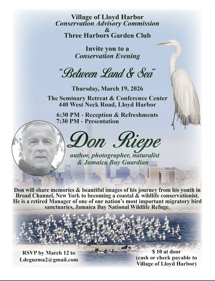 Don Riepe - "Between Land and Sea"