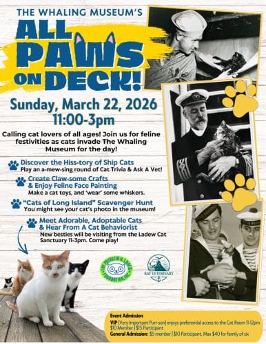 All Paw's On Deck