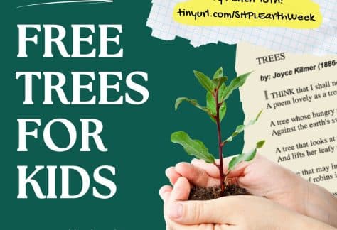 Free Trees For Kids - Free