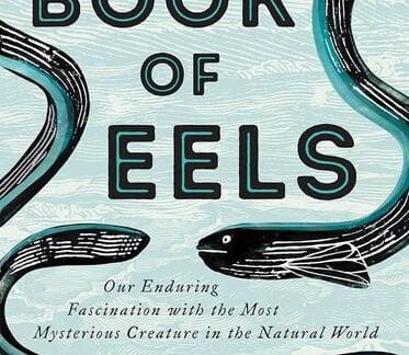 Beyond the Book: The Book of Eels by Patrick Svennson - FREE