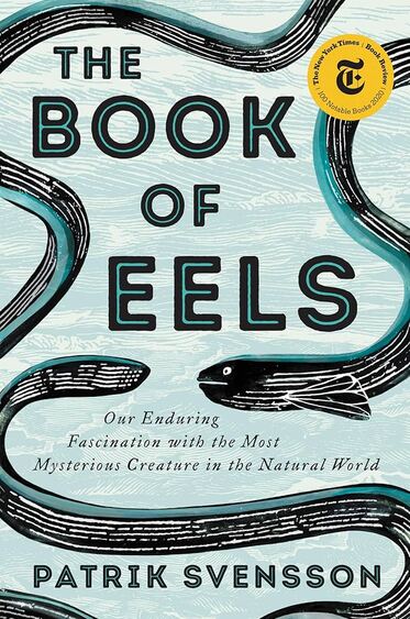 Beyond the Book: The Book of Eels by Patrick Svennson - FREE