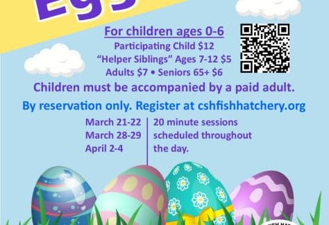 Egg Hunt - Ages 0-6