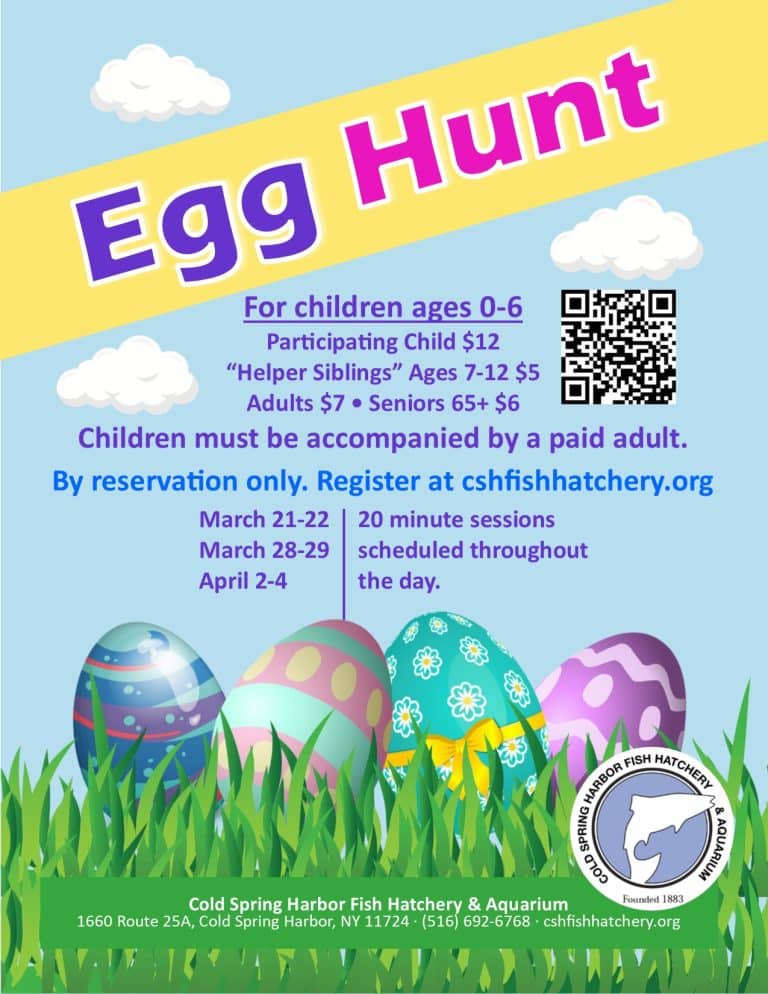 Egg Hunt - Ages 0-6