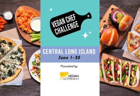 Central Long Island Vegan Chef Challenge