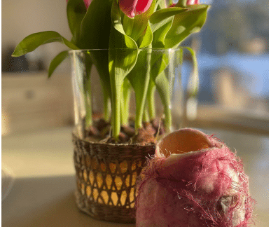 Felted Vase Workshop
