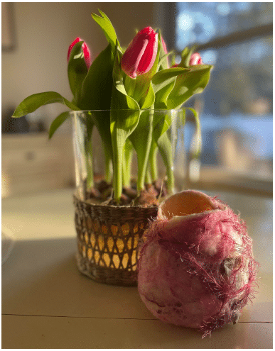 Felted Vase Workshop