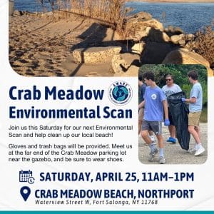 Crab Meadow Environmental Scan - Free
