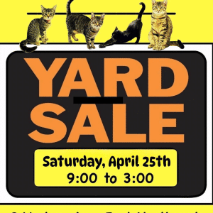 Yard Sale - Grateful Paw Cat Shelter - Free