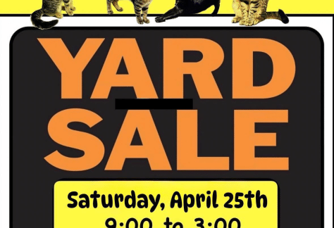 Yard Sale - Grateful Paw Cat Shelter - Free