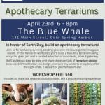 Blue Whale Workshops - Apothecary Terrariums