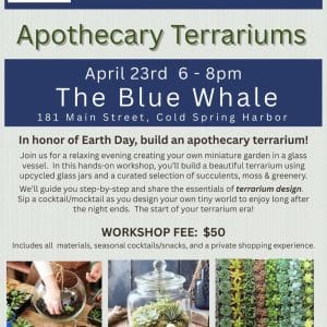 Blue Whale Workshops - Apothecary Terrariums