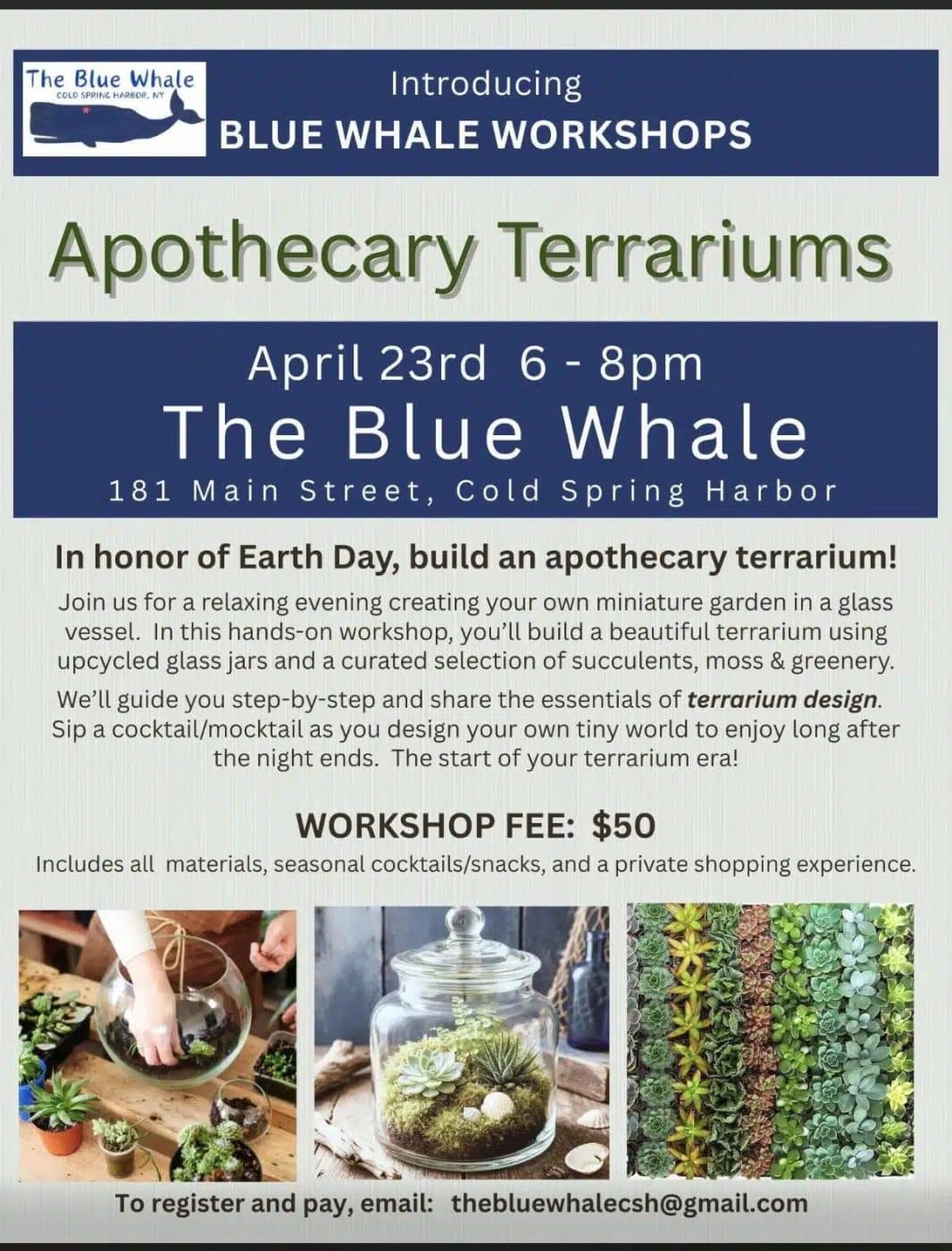 Blue Whale Workshops – Apothecary Terrariums