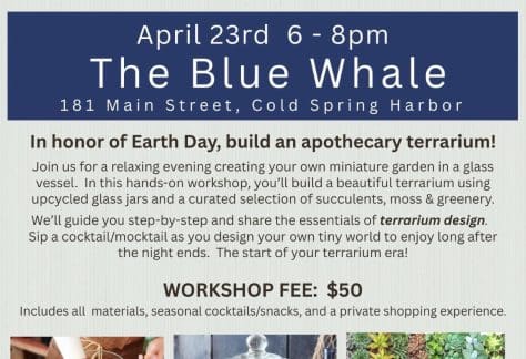 Blue Whale Workshops - Apothecary Terrariums